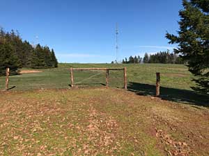 High Tensile Wire Fence