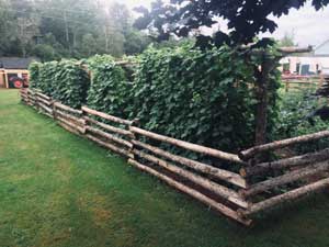 Post and Rail Fence