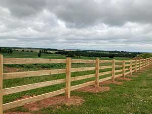 Rail Fence
